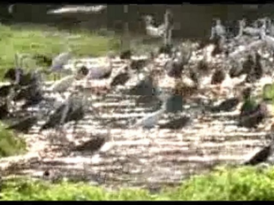 Işık ve sudaki tasarım