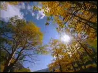 Peygamberimiz (sav) sadece Allah'ın rızasını aramıştır