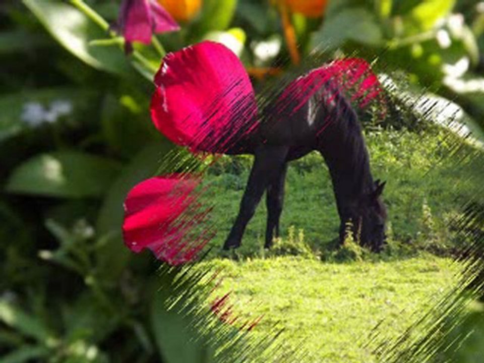 avec des fleurs