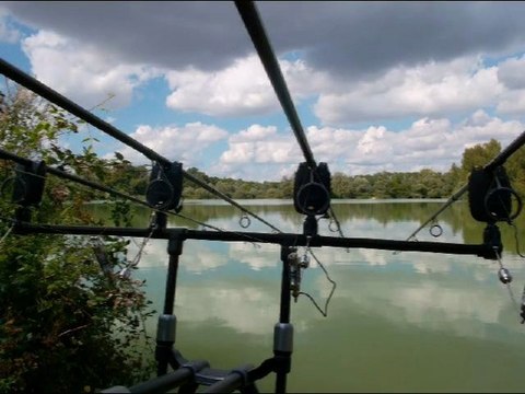 Pêche à la Carpe, Esturgeon - Carpemapassion - NOKILLUS Août 2011- Carp fishing and sturgeon