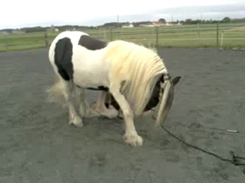 Scoubidou révérence