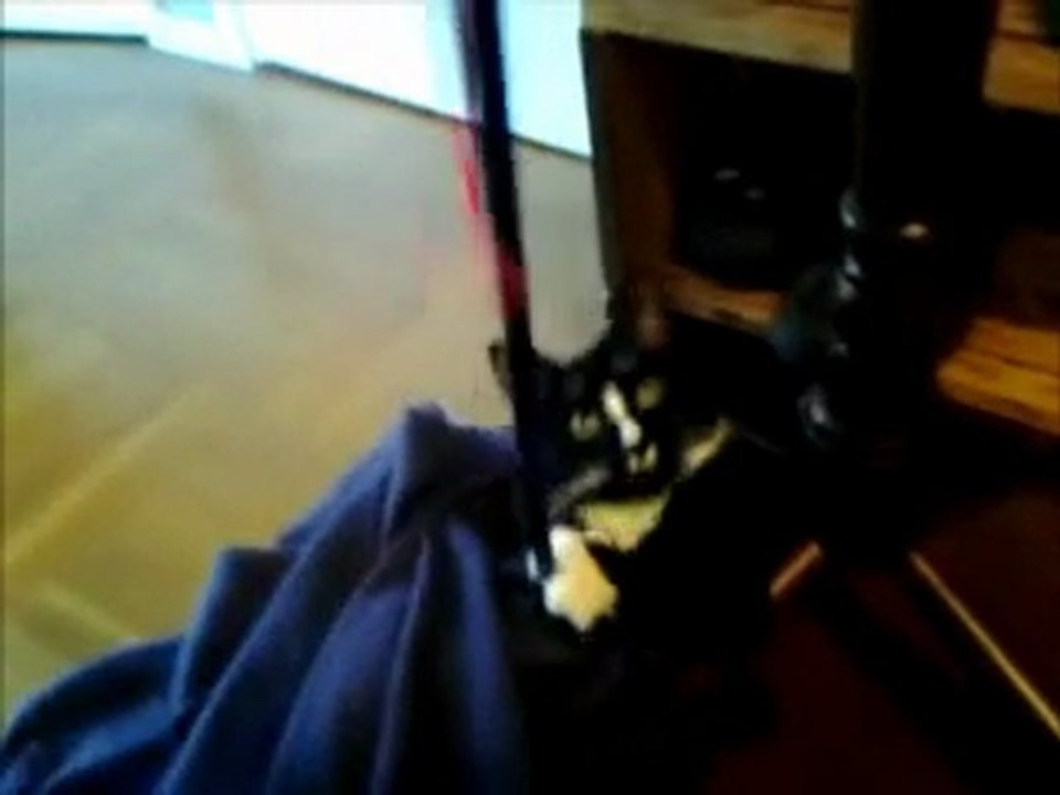 Vad gör du under filten, Elsa?