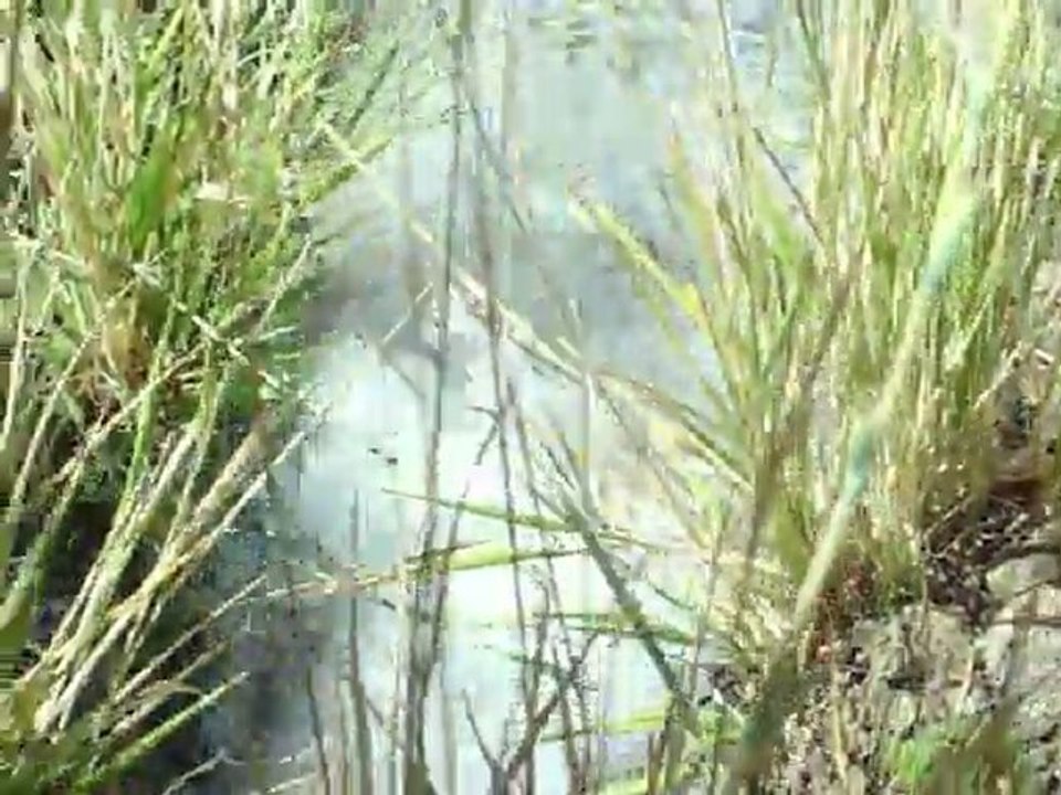 Su ve su sesi bu kadarmı güzel olur