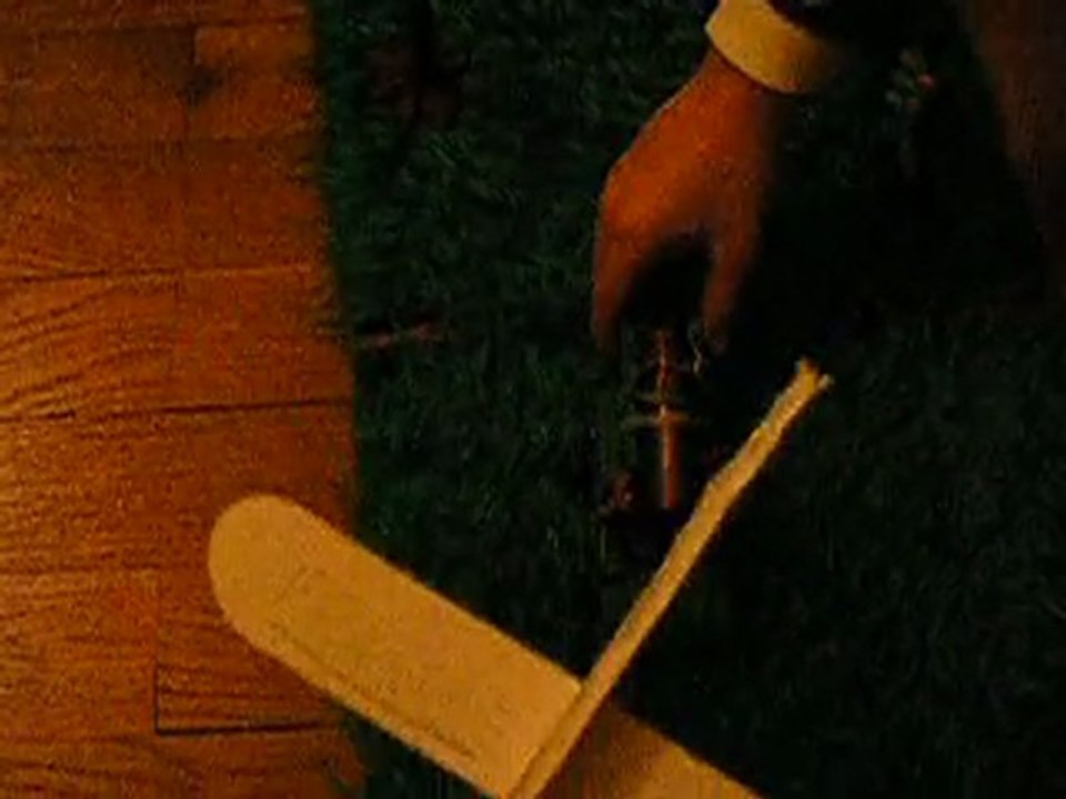 crétacé-parc 4