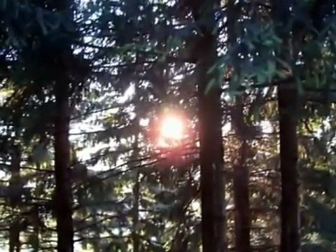 Veni Creator Spiritus