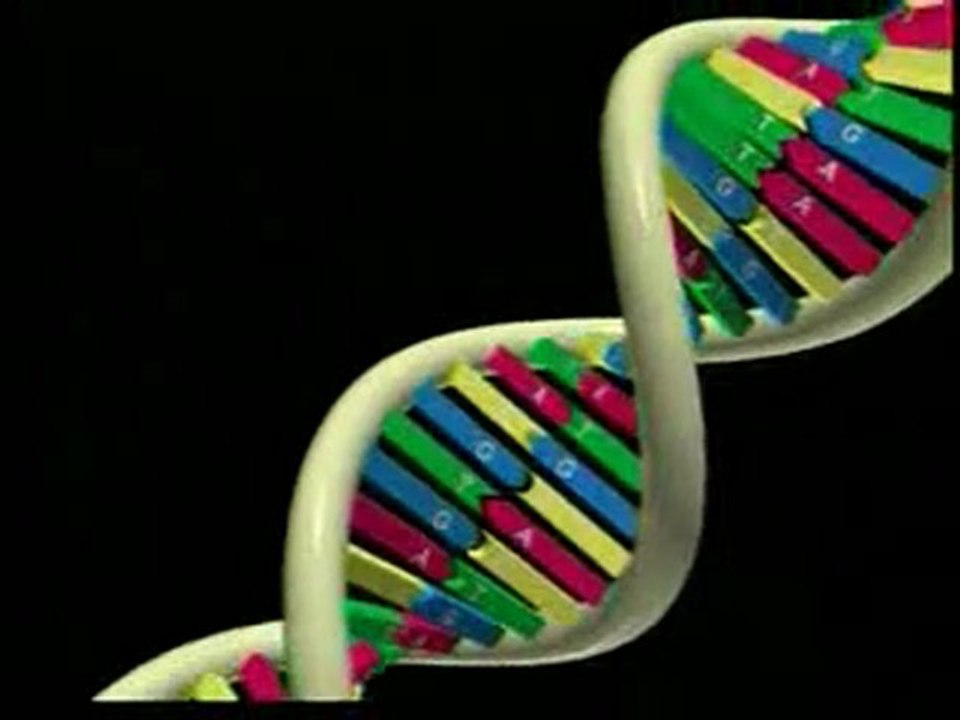 Mucize kütüphane: DNA
