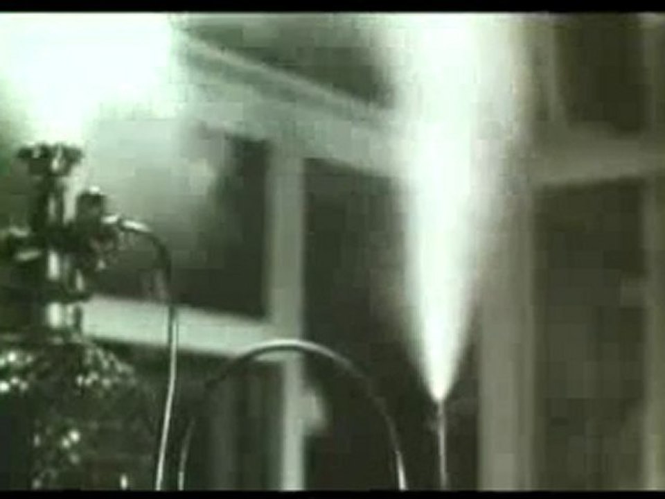 Nazilerin ırk teorisyeni: Haeckel