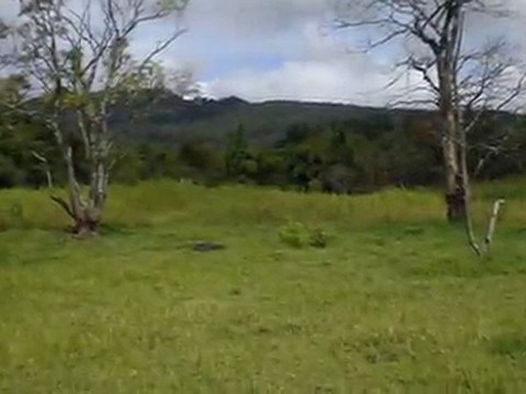Lotes de Terreno en el Centro de La Ciudad de Intibucá