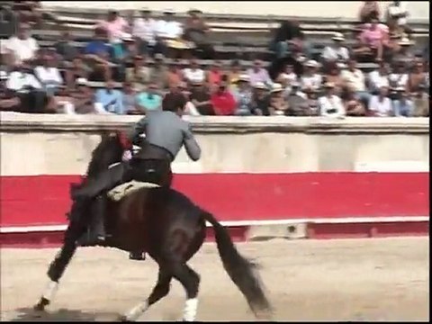 les aléas de la féria des vendanges - 17/09 - partie 4