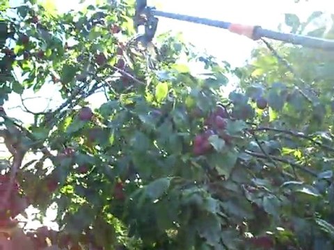 Tampere puutarhapalvelua Olavi Lehto Gardening services for people