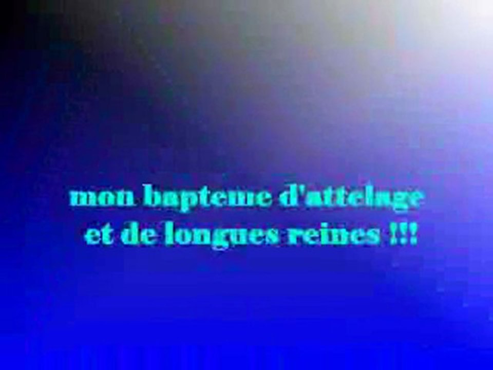 mon bapteme d'attellage et longues rènes !!!