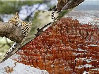 A Man Without Love - Engelbert Humpartinc (Mustafa Dinç)