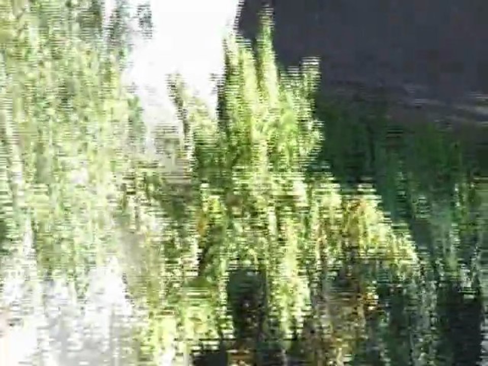 Saut de l'homme mort (âme sensible s'abstenir)