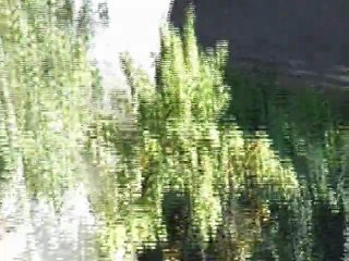 Saut de l'homme mort (âme sensible s'abstenir)