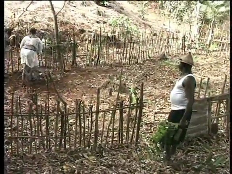 (2) la femme du sourd Moussa Koffoe