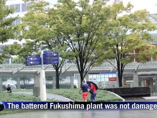 Typhoon smashes into Japan