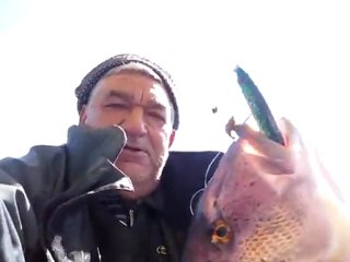 En Son Güncellenen - Orhan Kücükbicmen