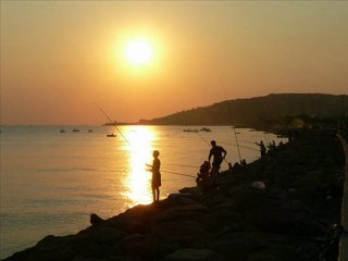 TİRAN KRALLIĞI EFSANE KARTAL - İSTANBUL KARTAL