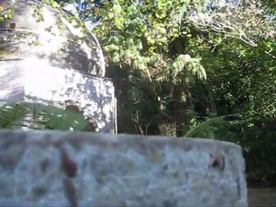 Vasos da Fonte dos Passarinhos - Parque da Pena - Sintra