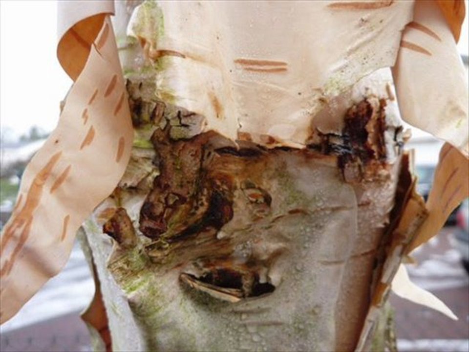 Elle a parfois tellement peur qu'elle sourit