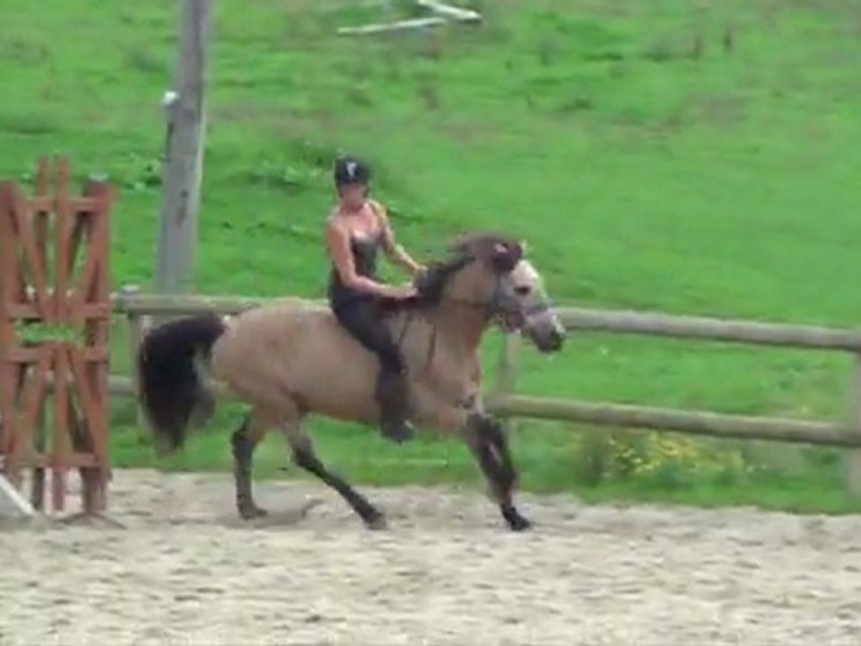 Cavalieres à cru et au licol.