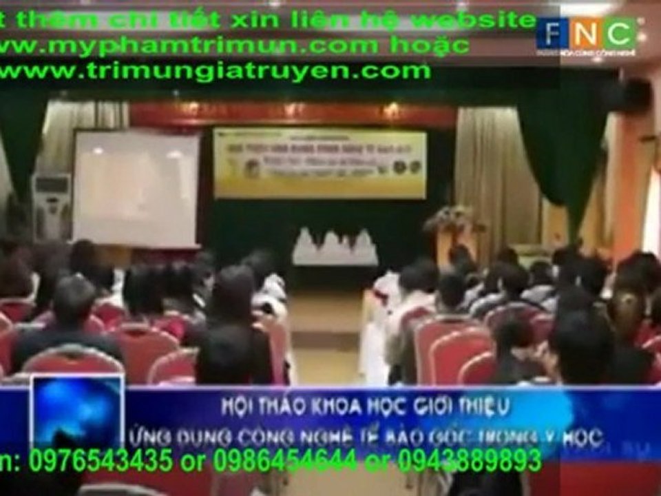 thoi su te bao goc