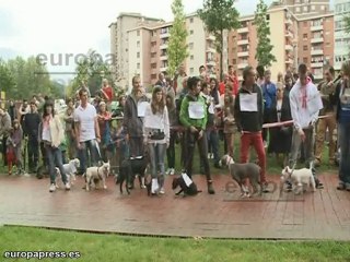 "Pon un perro abandonado en tu vida"