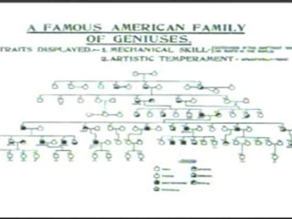 Eugenisme 1 3