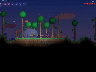 terraria boss slim