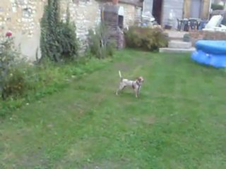 PICT0373 JENNY revit.......