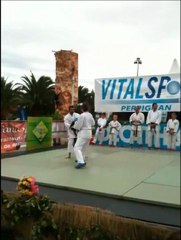 Karate Toulouges