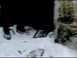 RIBLJA ČORBA - Pogledaj dom svoj, anđele (1985)
