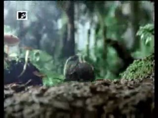 Reklam ajansı  nar paketi