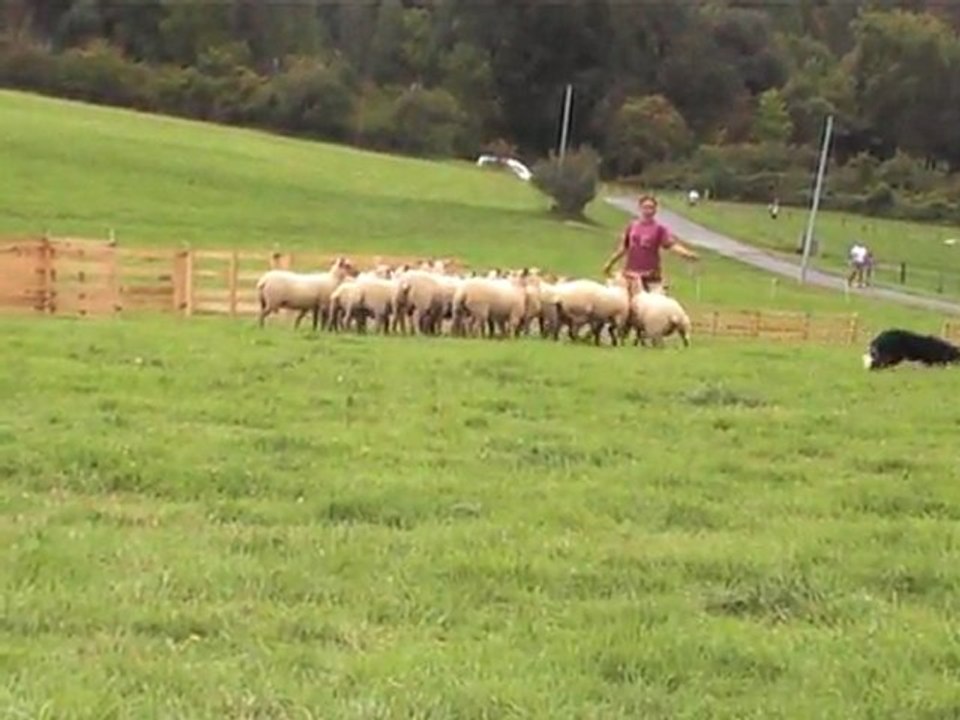 Parcours (partie 3)
