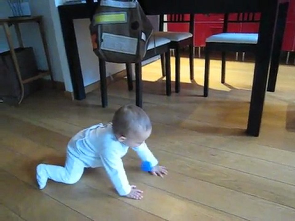 1er 4 pattes d'alexandre