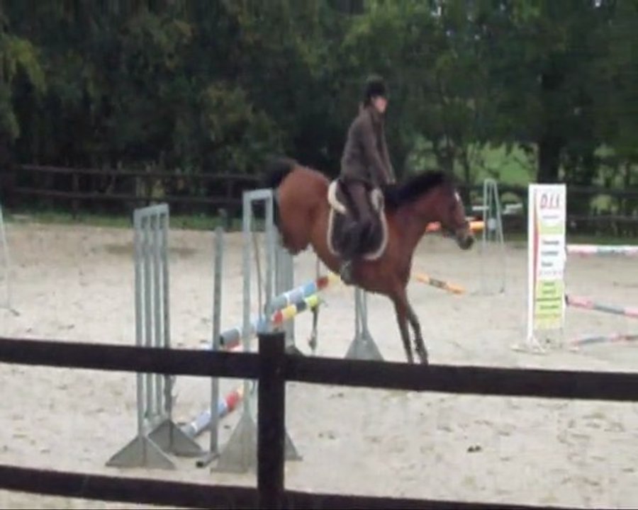 Concours interne, Nadelseen et Okapi