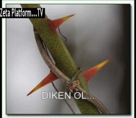 ESARET BAĞLARINDA GÜL OLACAĞINA ÖZGÜRLÜK DAĞLARINDA DİKEN OL!...sesli not:::zeta platform::::