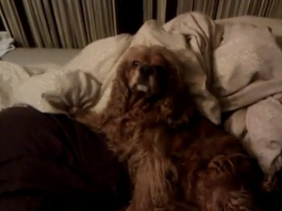 WrestlingUnivers's Channel - YouTube