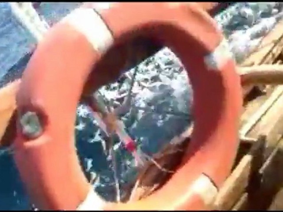 Hür MOL İzmir Palamut Avı