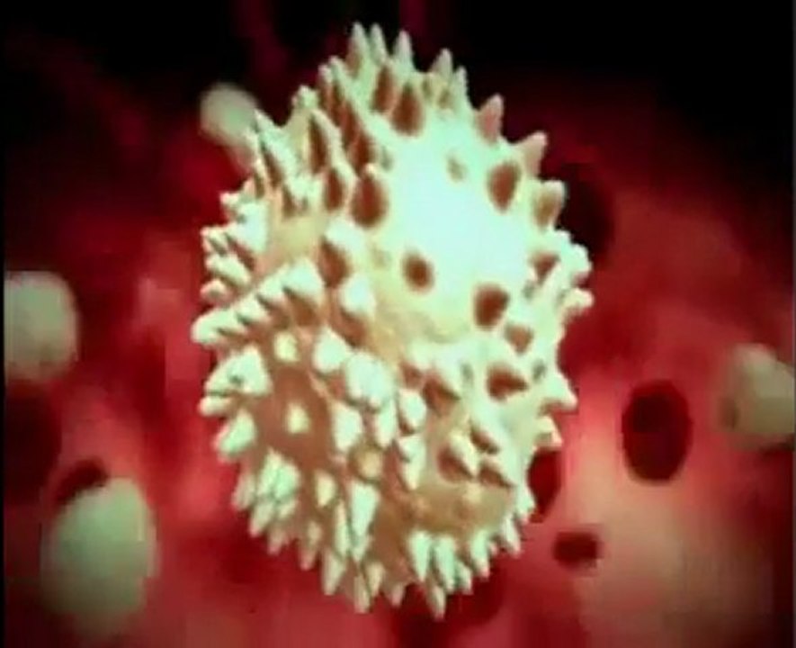 Anémie en général Version en arabe Dr AMINE A Casablancai - YouTube