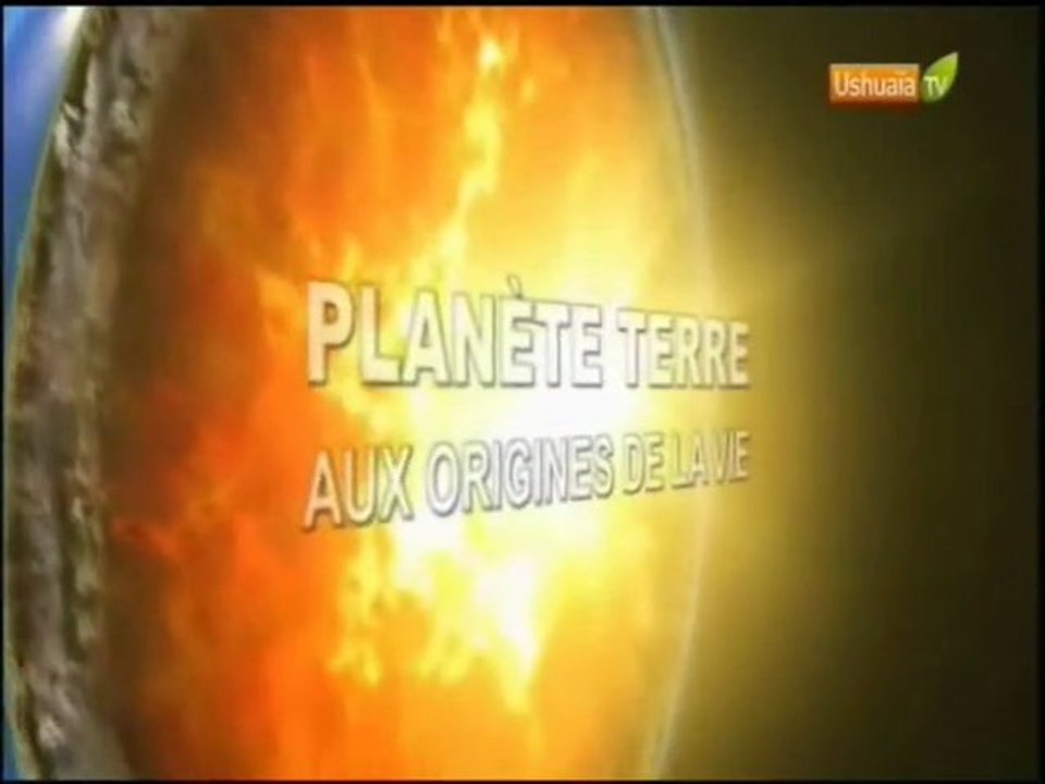 aux origines de la vie,les astéroïdes