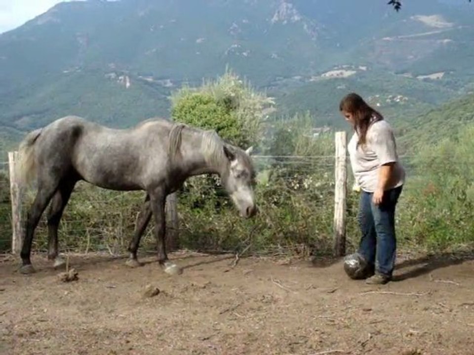 Anakin fais des passes....