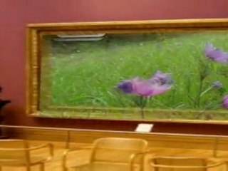 Hesna Gökhan Dügün Klip