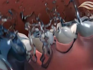 DENOVA Oral Bio Complex ПРОФИЛАКТИКА и гигиена ПОЛОСТИ РТА