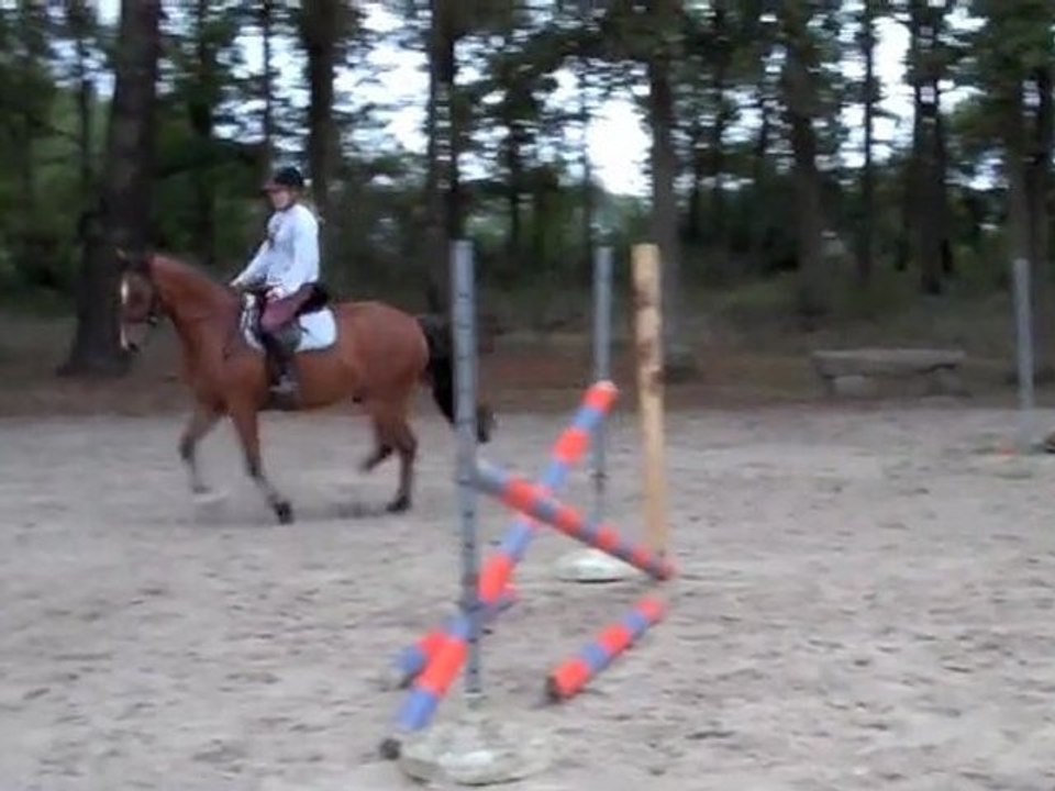 Séance obstacle sept 2011 sans coach
