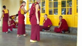 les moines s'entraînent au débat philosophique (mcleod ganj 2011)