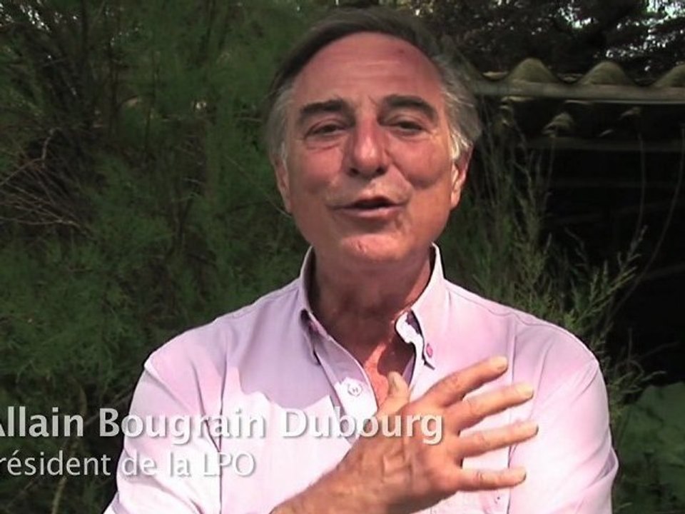 Sauvons la biodiversité d'outre-mer en danger !