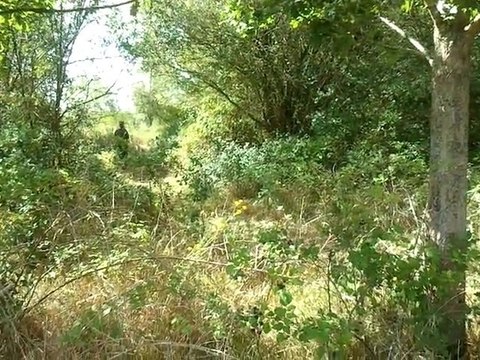 Les Phoénix49 - airsoft -2011-08-28