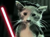 Les chatons Jedi contre-attaquent