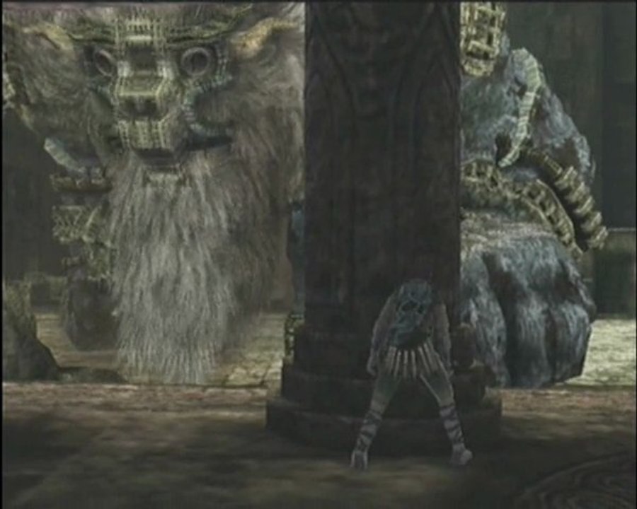 Shadow of the colossus 6) Le barbu